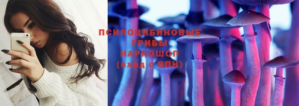 крисы Белоозёрский