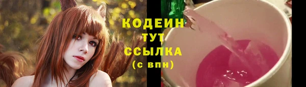 apvp Белокуриха