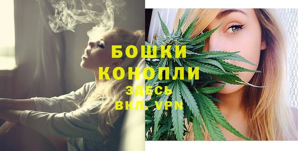 сатива Тайга