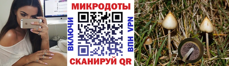 сайты даркнета формула  Щёлкино  Галлюциногенные грибы Cubensis  купить  сайты 